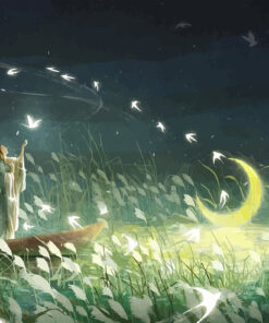 Fototapeta Magická noc