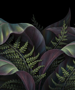 Fototapeta Fern listy na tmavém pozadí