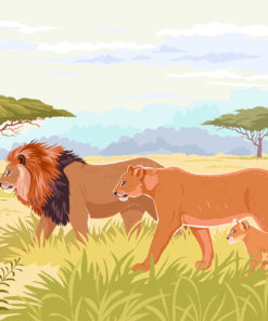 Fototapeta Lví rodina na savaně