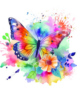 Fototapeta Barevný motýl