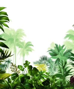 Fototapeta Tropický sen