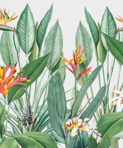 Fototapeta Tropické květiny na světlém pozadí