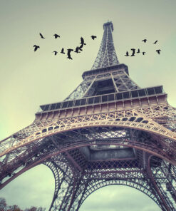 Fototapeta Eiffelova věž