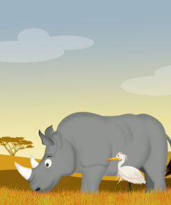 Fototapeta Nosorožec a bílý Aeron