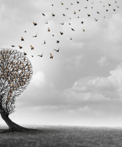 Fototapeta Tvář Na Stromě