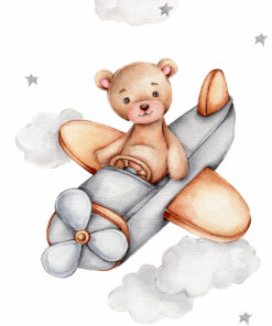 Fototapeta Medvídek V Letadle