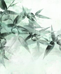 Fototapeta Stínované listy