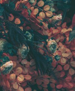 Fototapeta Červené květinové aranžmá