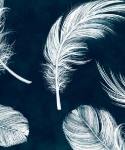 Fototapeta Bílé peří