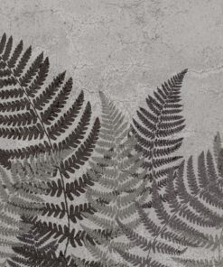 Fototapeta Stínované kapradiny