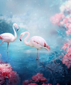 Fototapeta Pár plameňáků