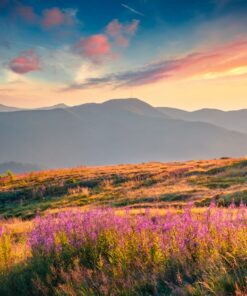 Fototapeta Krása hor