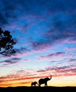 Fototapeta Cesta na Západ