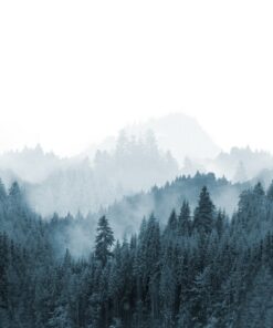 Fototapeta Mlžné hory