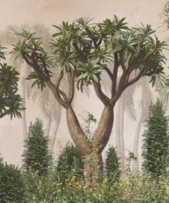 Fototapeta Sekvojový les