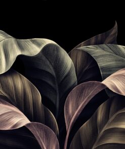 Fototapeta Listí ve tmě