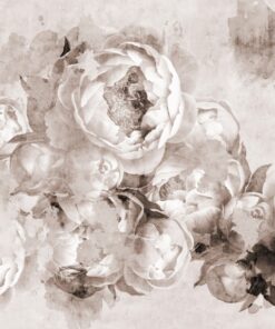 Fototapeta Vybledlé pivoňky