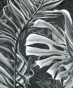 Fototapeta Monstera nakreslená tužkou