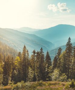 Fototapeta Karpaty v paprscích slunce
