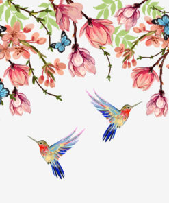 Fototapeta Barevní kolibříci