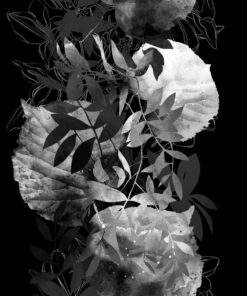 Fototapeta Černé a bílé listy