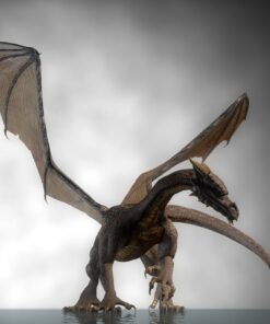 Fototapeta Drak Na Vodní Hladině