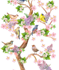 Fototapeta Ptáci Na Větvi Stromu