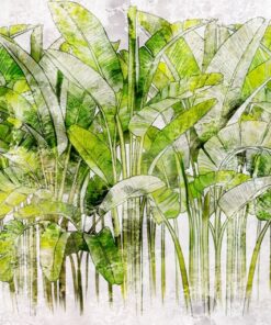 Fototapeta Zelené banánové listy