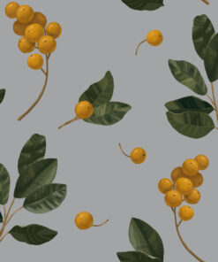 Fototapeta Mirabelky