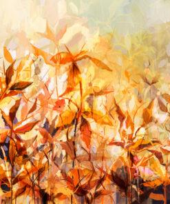 Fototapeta Barvy podzimu