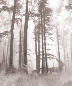 Fototapeta Rodina jelenů