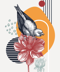 Fototapeta Ptačí abstrakce