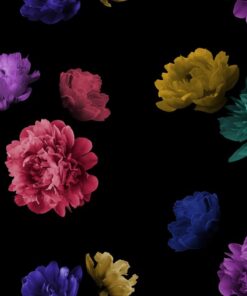 Fototapeta Barevné květiny na černém pozadí