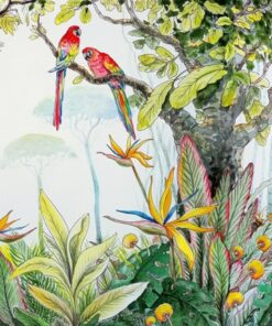 Fototapeta Barevná zvířátka z džungle