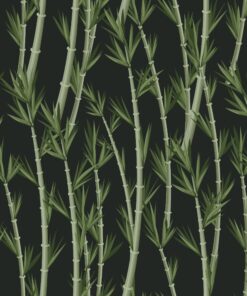 Fototapeta Bambusy