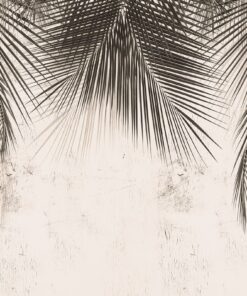 Fototapeta Tmavé palmové listy