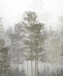 Fototapeta Stromy V Mlze