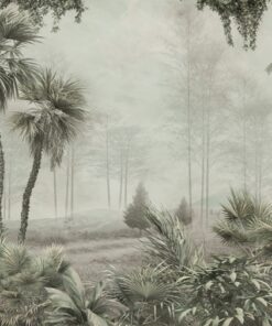 Fototapeta Tropics Behind the Fog