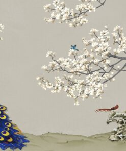 Fototapeta Pávi a třešňový květ