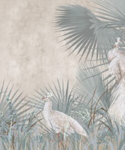 Fototapeta Bílý páv