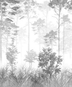 Fototapeta Bílá mlha v temném lese