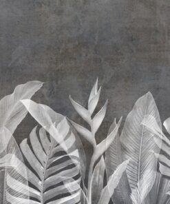 Fototapeta Šedé listy Monstera