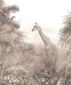 Fototapeta Krásná žirafa v sépii