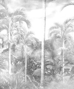 Fototapeta Tropický šedý les