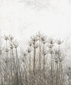 Fototapeta Vysoká tráva