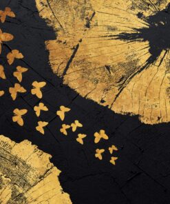 Fototapeta Motýli V černém