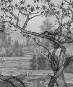 Fototapeta Venkovská krajina černá a bílá