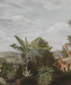 Fototapeta Safari žirafy