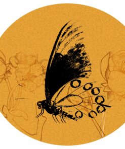 Fototapeta Motýl Ve žluté