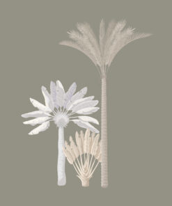 Fototapeta Pampelišky V Béžové